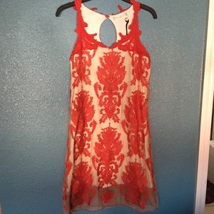 Embroidered mesh Chelsea & Violet Dress. NWT.